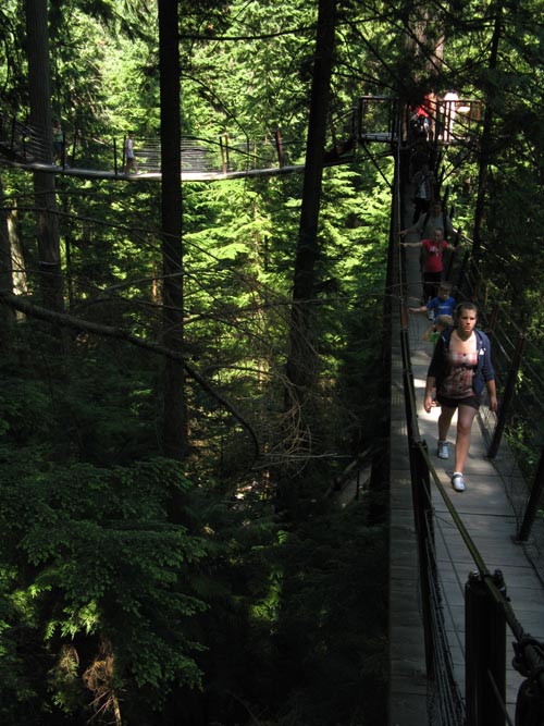 Treetops Adventure, Rainforest, Capilano Suspension Bridge, North Vancouver, BC, Canada