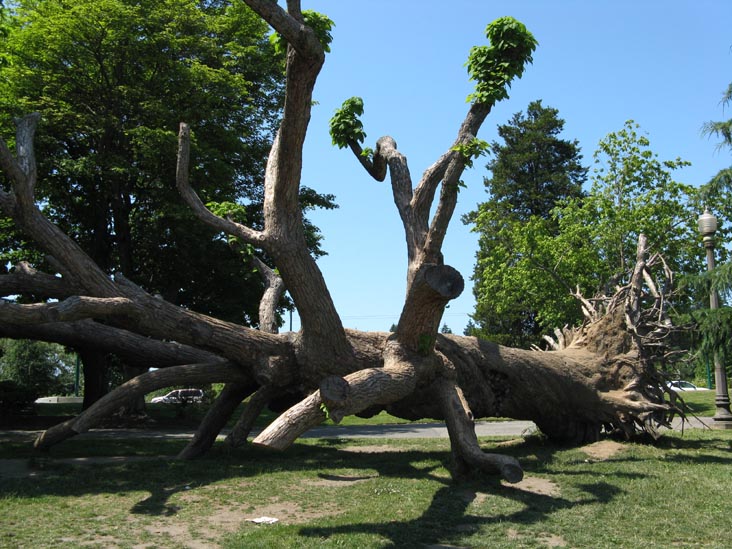 Seawall Walk, Stanley Park, Vancouver, BC, Canada