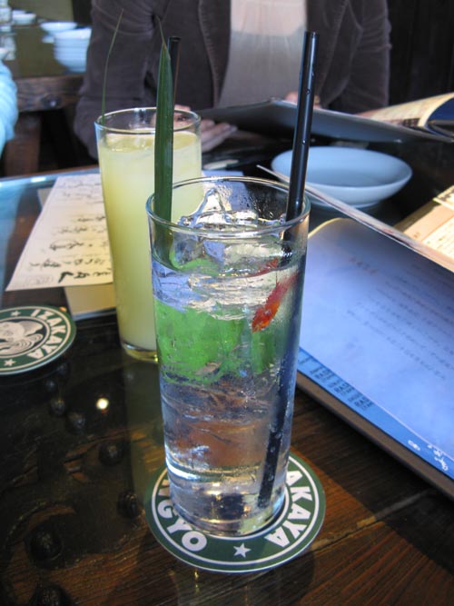 Cocktails, Kingyo, 871 Denman Street, West End, Vancouver, BC, Canada