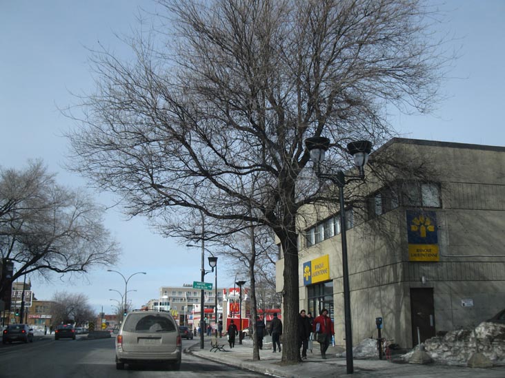 Boulevard Saint-Laurent and Rue Jean-Talon, Montréal, Québec, Canada