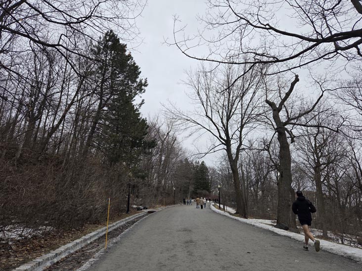 Olmsted Trail, Parc du Mont-Royal/Mount Royal Park, Montr&eacute;al, Canada, April 4, 2026