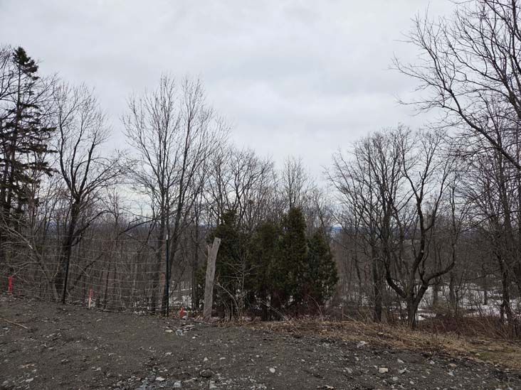 Parc du Mont-Royal/Mount Royal Park, Montr&eacute;al, Canada, April 4, 2026