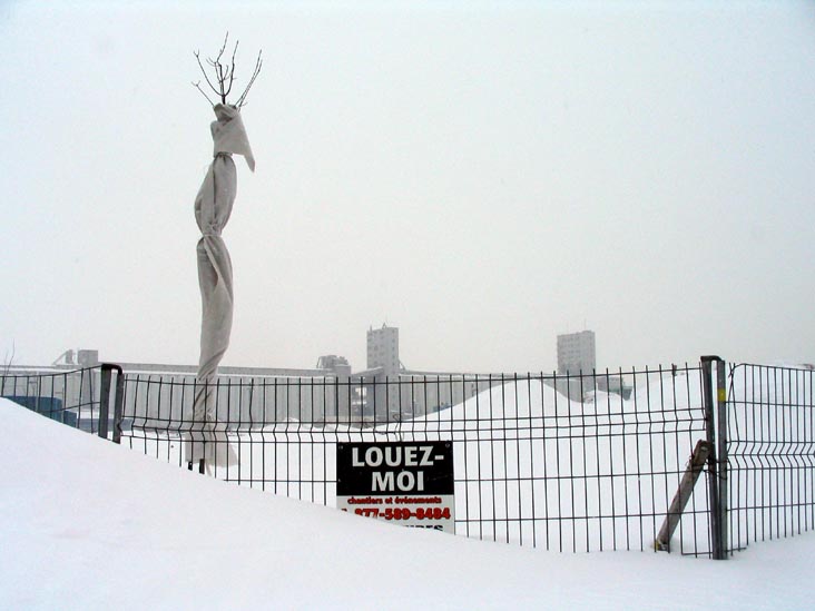 Louise Basin/Bassin Louise, Québec City, Canada