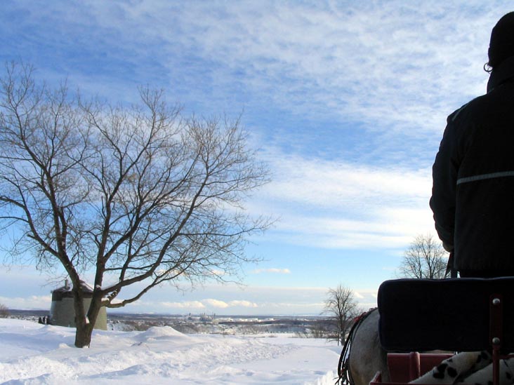 Sleigh Ride (Promenade en carriole), Place Desjardins, Carnaval de Québec (Quebec Winter Carnival), Québec City, Canada