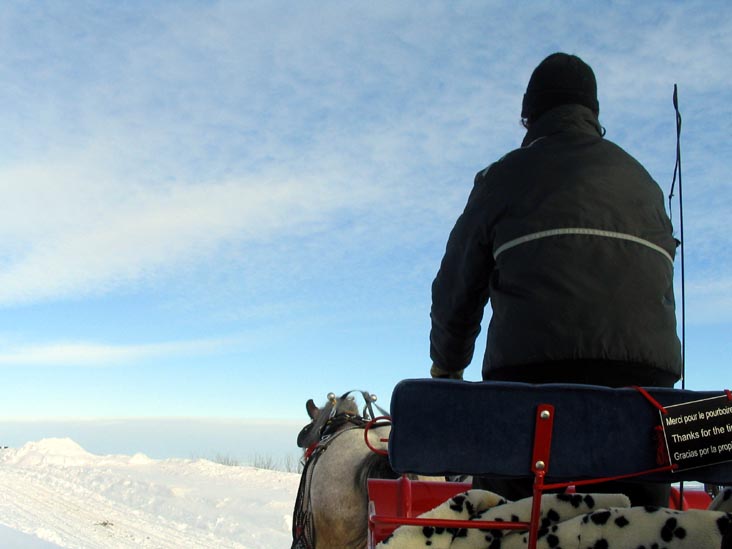 Sleigh Ride (Promenade en carriole), Place Desjardins, Carnaval de Québec (Quebec Winter Carnival), Québec City, Canada