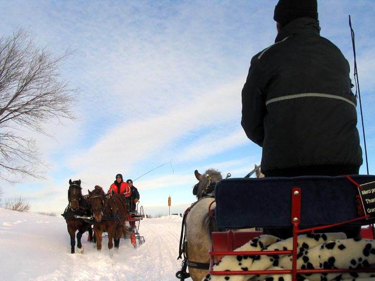 Sleigh Ride (Promenade en carriole), Place Desjardins, Carnaval de Québec (Quebec Winter Carnival), Québec City, Canada