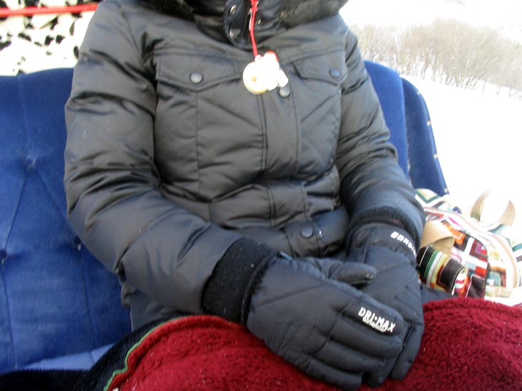 Sleigh Ride (Promenade en carriole), Place Desjardins, Carnaval de Québec (Quebec Winter Carnival), Québec City, Canada