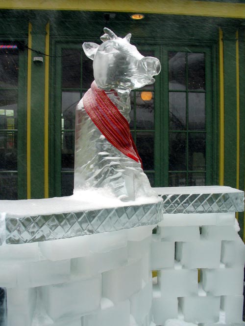 Ice Bar (Bar du Glace), Rue du Trésor, Québec City, Canada