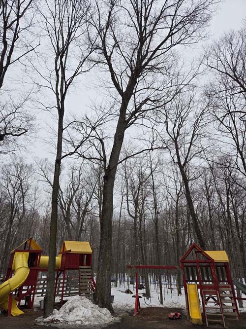 Playground, Cabane &agrave; Sucre Constantin Gr&eacute;goire, Saint-Esprit, Canada, April 7, 2026