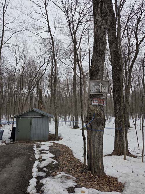 Cabane &agrave; Sucre Constantin Gr&eacute;goire, Saint-Esprit, Canada, April 7, 2026