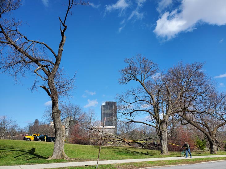 Lincoln Park From Morton Avenue, Albany, New York, March 29, 2021