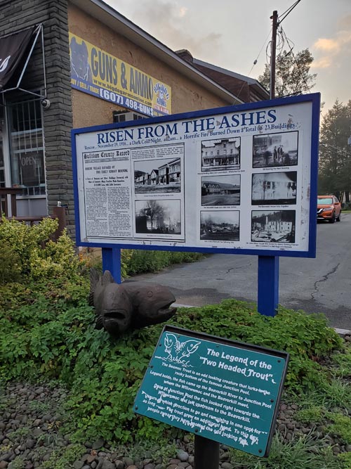 Stewart Avenue, Roscoe, New York, August 28, 2020