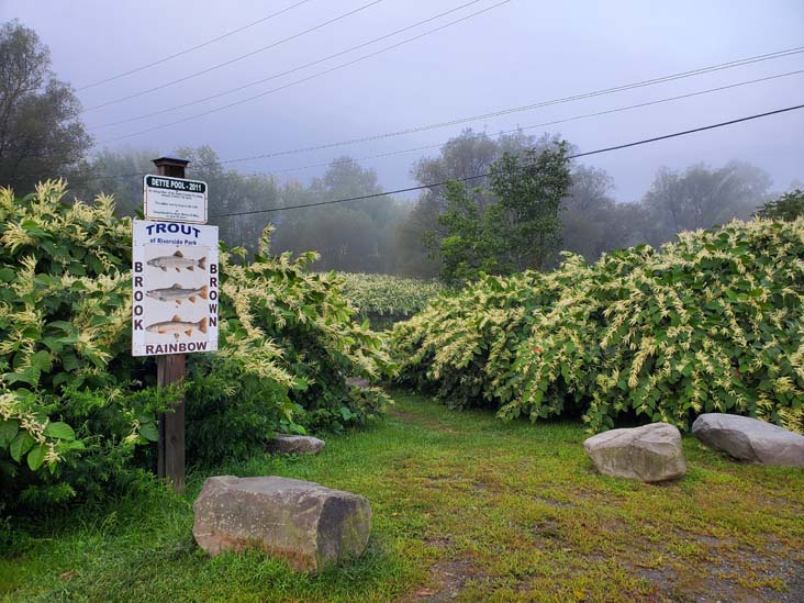 Riverside Park, Roscoe, New York, August 28, 2020