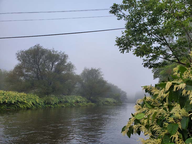 Willowemoc Creek, Riverside Park, Roscoe, New York, August 28, 2020
