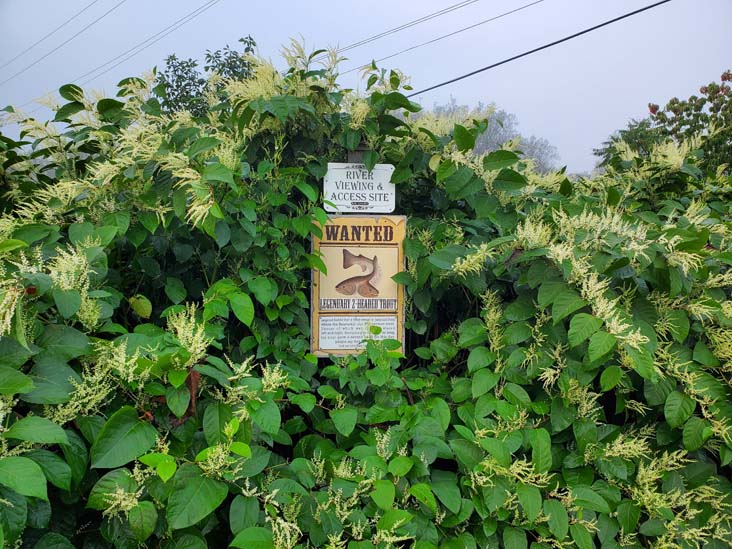 Riverside Park, Riverside Park, Roscoe, New York, August 28, 2020