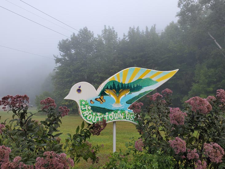 Trout Town USA Sign, Old Route 17, Roscoe, New York, August 28, 2020