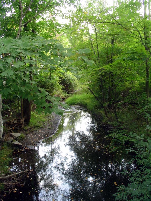 Tannery Brook, Rock City Road, Woodstock, New York