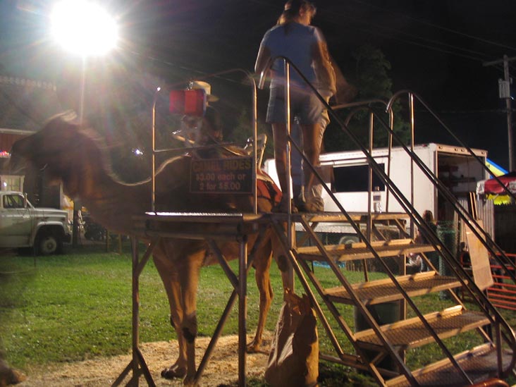 Camel Ride, Cobleskill Fair, Cobleskill Fairgrounds, Cobleskill, New York