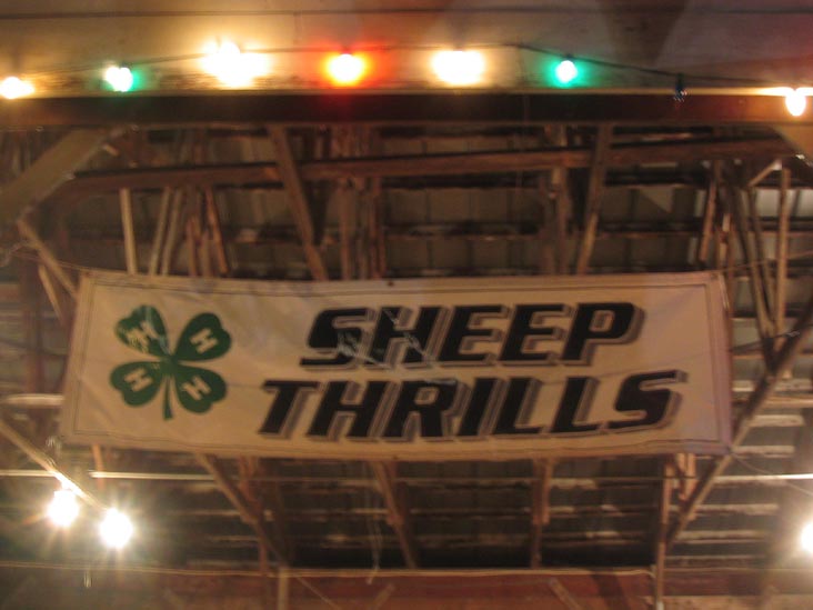 4-H Club Sheep Thrills, Cobleskill Fair, Cobleskill Fairgrounds, Cobleskill, New York