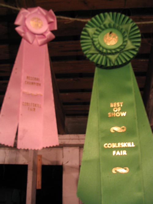 Best of Show Ribbons, Cobleskill Fair, Cobleskill Fairgrounds, Cobleskill, New York