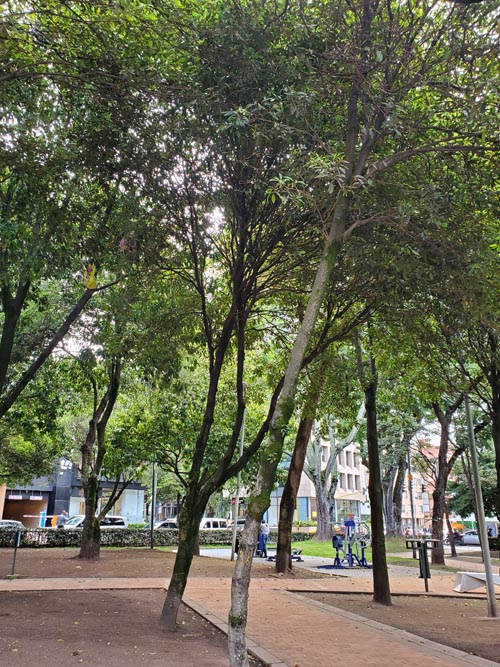 Parque El Nogal, Bogotá, Colombia, July 21, 2022