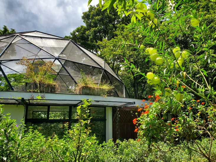 Casa de las Mariposas, Jardín Botánico, Medellín, Colombia, July 10, 2022