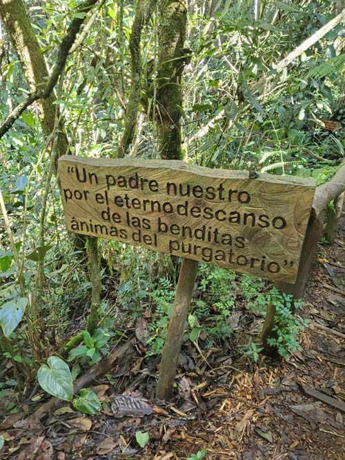Parque Arví, Medellín, Colombia, July 13, 2022
