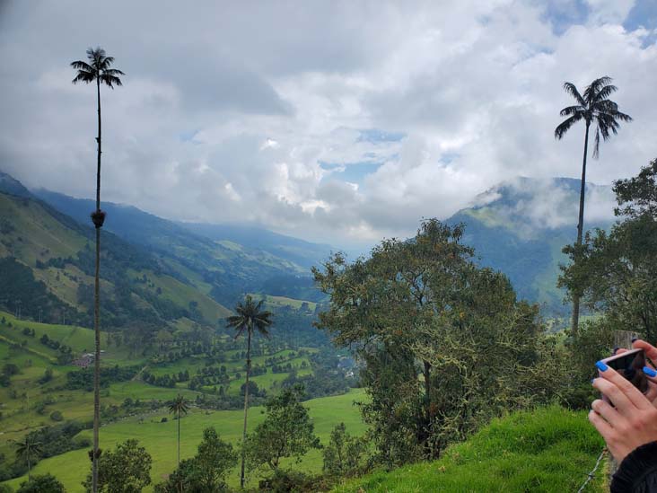 Valle de Cocora/Cocora Valley, Quindío, Colombia, July 16, 2022