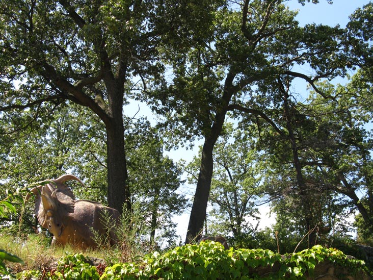 Bruce Museum, One Museum Drive, Greenwich, Connecticut