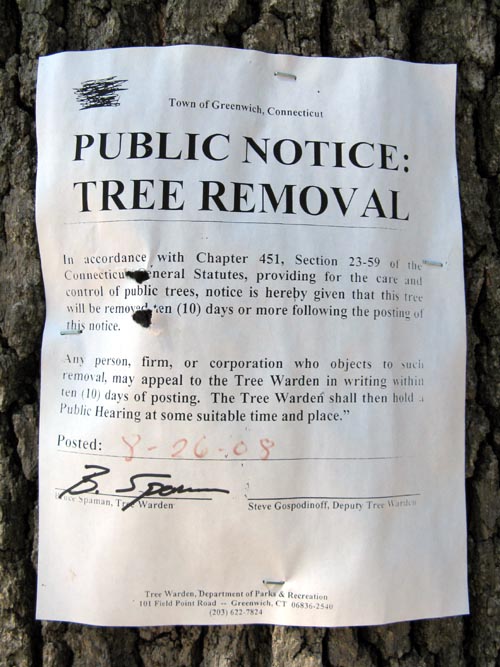 Tree Removal Sign, Bruce Museum, One Museum Drive, Greenwich, Connecticut