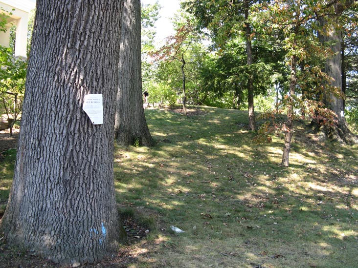 Bruce Museum, One Museum Drive, Greenwich, Connecticut