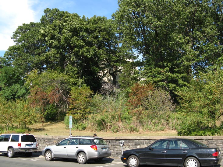 Bruce Museum, One Museum Drive, Greenwich, Connecticut