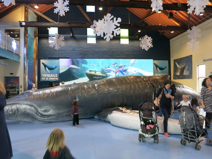 Inflatable Humpback Whale, Maritime Aquarium, 10 North Water Street, Norwalk, Connecticut, January 14, 2017