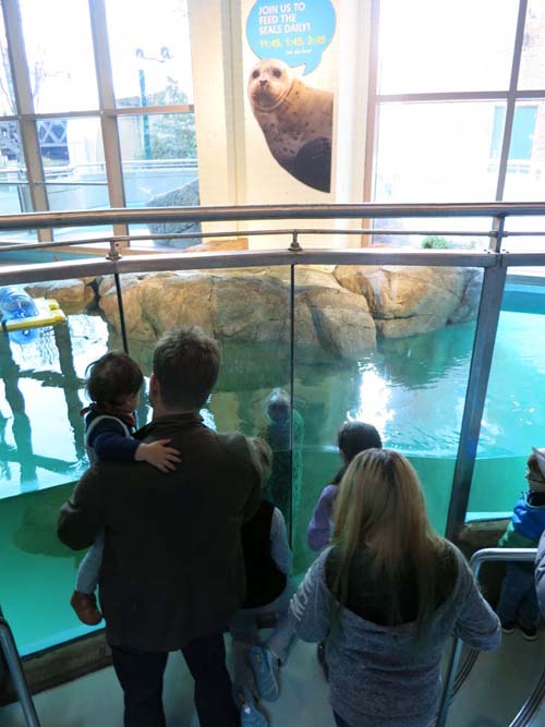 Maritime Aquarium, 10 North Water Street, Norwalk, Connecticut, January 14, 2017