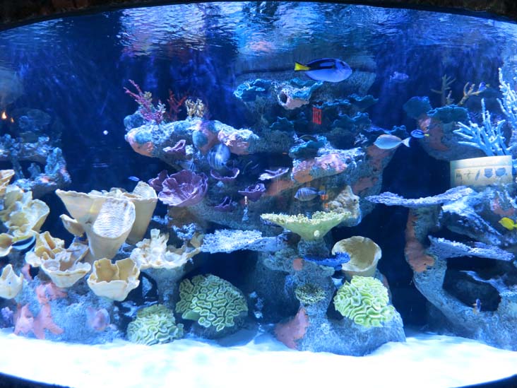 Maritime Aquarium, 10 North Water Street, Norwalk, Connecticut, January 14, 2017