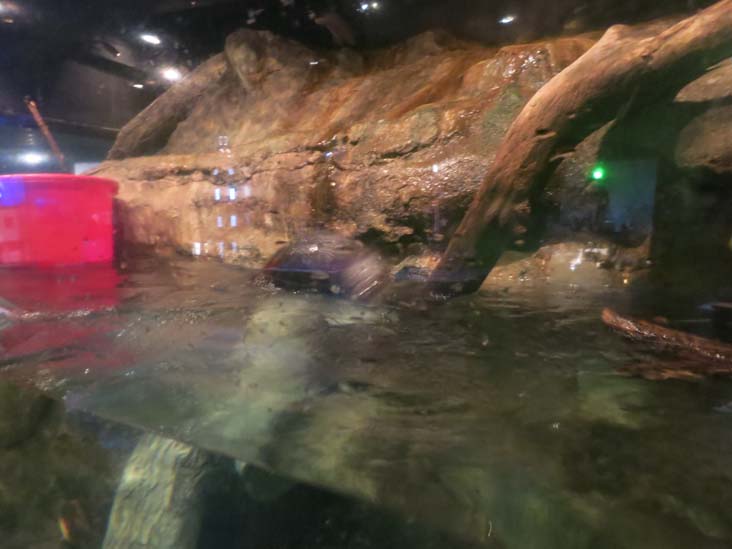 Maritime Aquarium, 10 North Water Street, Norwalk, Connecticut, January 14, 2017