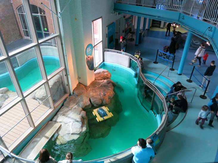 Maritime Aquarium, 10 North Water Street, Norwalk, Connecticut, January 14, 2017
