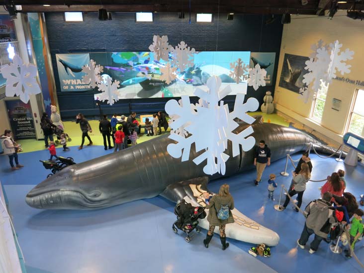 Inflatable Humpback Whale, Maritime Aquarium, 10 North Water Street, Norwalk, Connecticut, January 14, 2017
