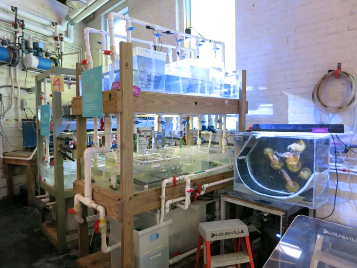 Maritime Aquarium, 10 North Water Street, Norwalk, Connecticut, January 14, 2017