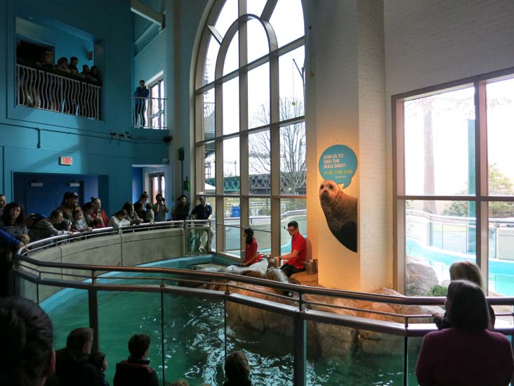 Maritime Aquarium, 10 North Water Street, Norwalk, Connecticut, January 14, 2017
