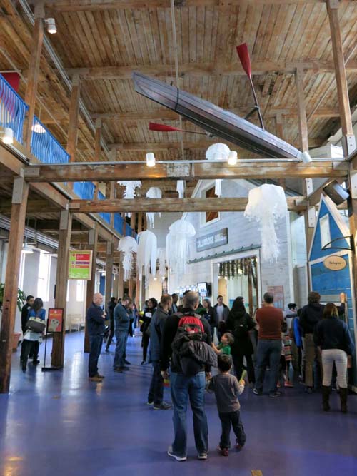 Maritime Aquarium, 10 North Water Street, Norwalk, Connecticut, January 14, 2017