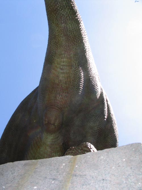 Torosaurus Latus Sculpture, Yale Peabody Museum, 170 Whitney Avenue, New Haven, Connecticut, July 14, 2006