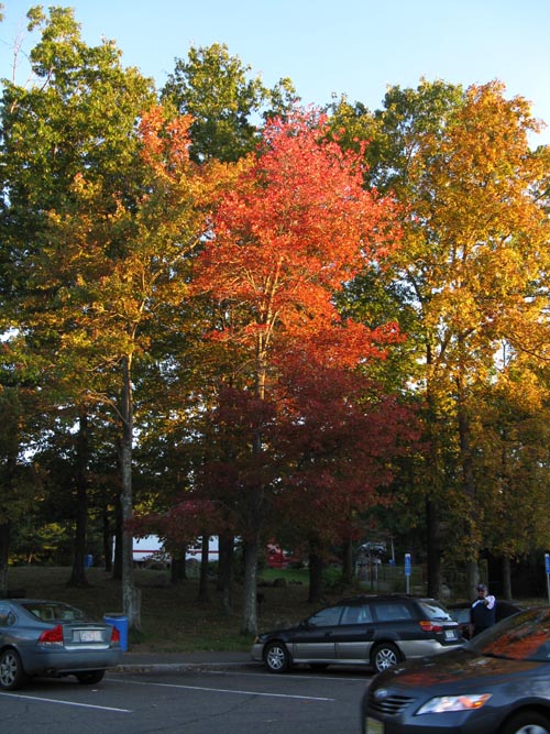 Wallingford Rest Area, Interstate 91, Connecticut, November 10, 2010