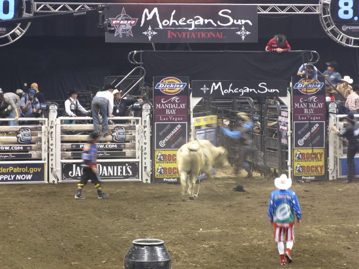 Professonial Bull Riding Built Ford Tough Series, Mohegan Sun Arena, Mohegan Sun, Uncasville, Connecticut, October 18, 2008