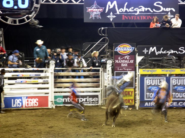Professonial Bull Riding Built Ford Tough Series, Mohegan Sun Arena, Mohegan Sun, Uncasville, Connecticut, October 18, 2008