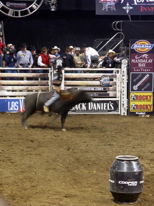 Professonial Bull Riding Built Ford Tough Series, Mohegan Sun Arena, Mohegan Sun, Uncasville, Connecticut, October 18, 2008