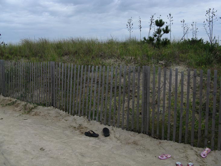 Beach Near Ocean View Parkway, Bethany Beach, Delaware, August 28, 2009