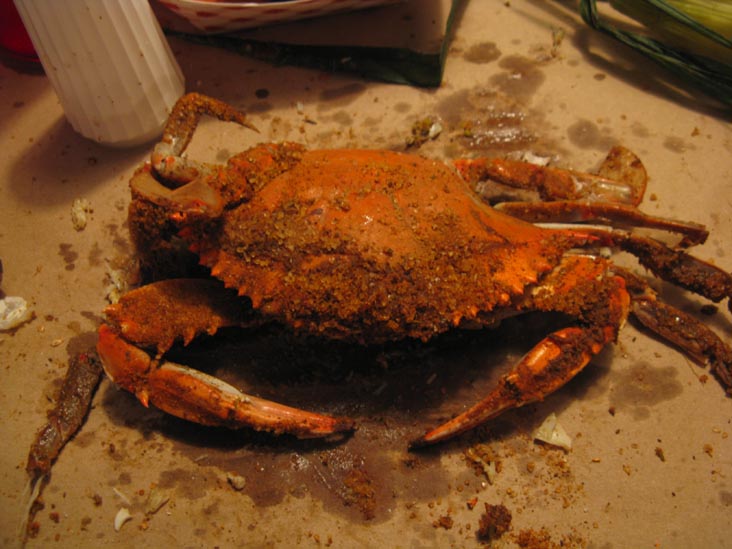 Crab, Crab Feast, The Blue Crab, 210 Garfield Parkway, Bethany Beach, Delaware