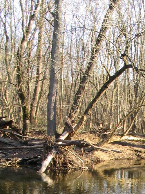 White Clay Creek Preserve, Newark, Delaware