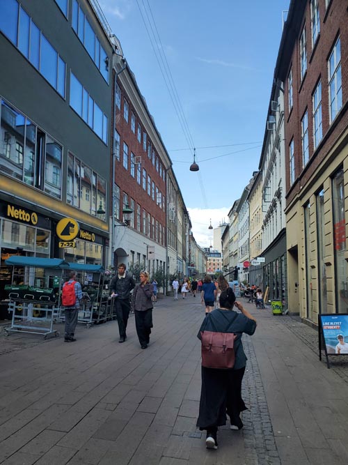 Looking North Up Fiolstræde Near Krystalgade, Copenhagen, Denmark, July 28, 2025